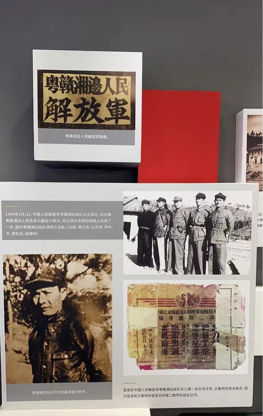 澳门全年免费原料网