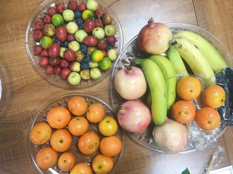 澳门全年免费原料网