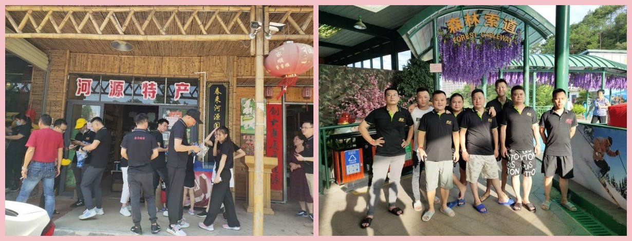 澳门全年免费原料网