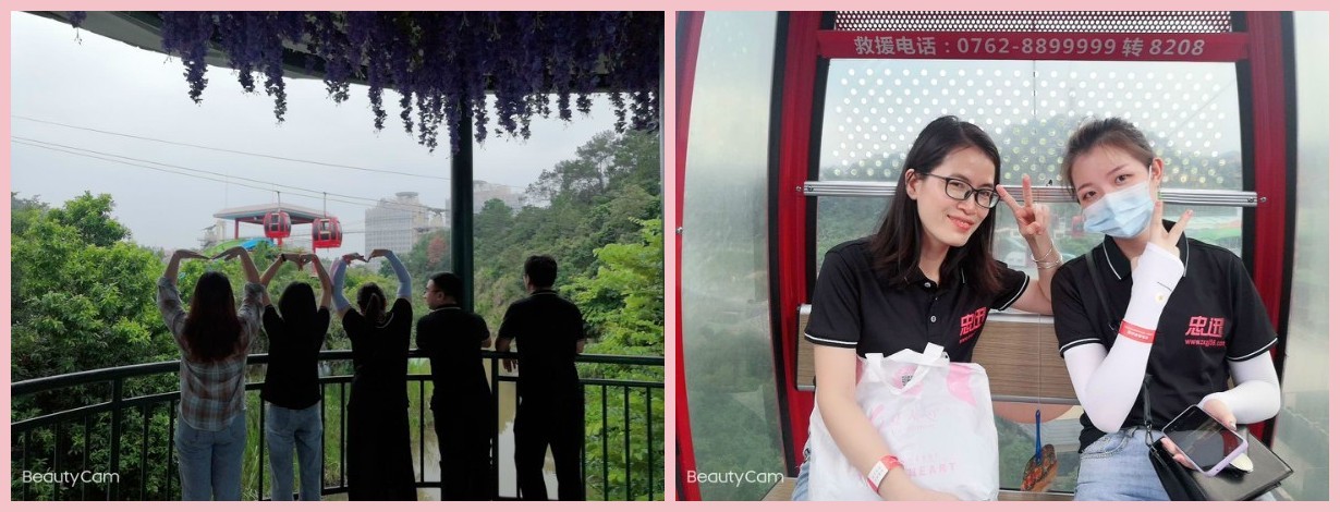 澳门全年免费原料网